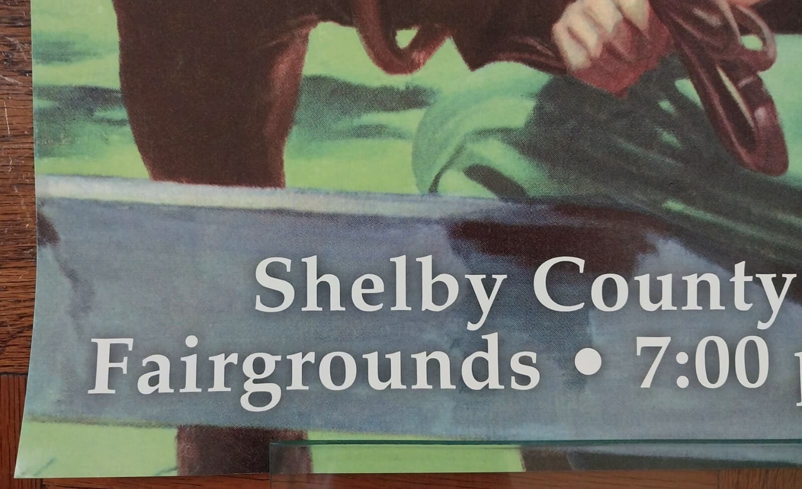 2002 original Shelbyville TN Horse Show Poster Shelby County Tennessee 20x28 5