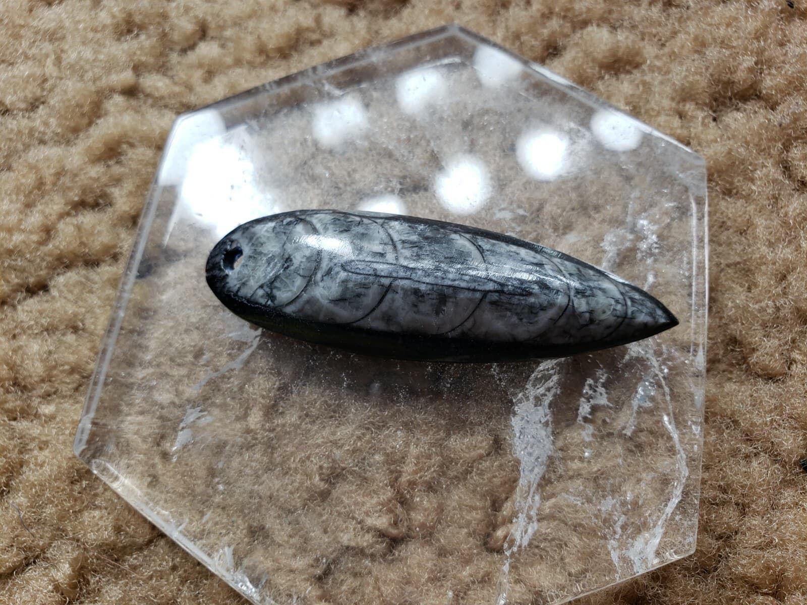 Orthoceras Focal Pendants, Polished Drilled Fossil, Nature Jewelry, Metaphysical 6