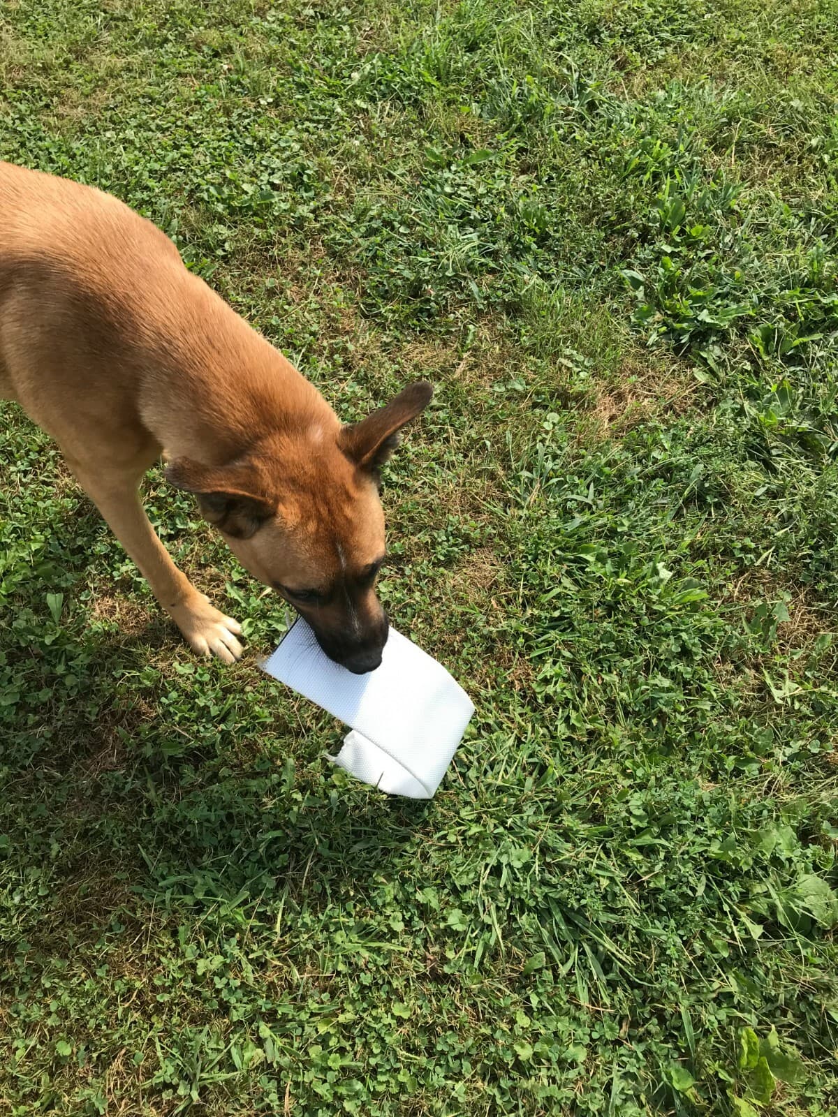  4 1/4" wide Fire hose for boat docks, abrasion protection etc. 10’ length 6