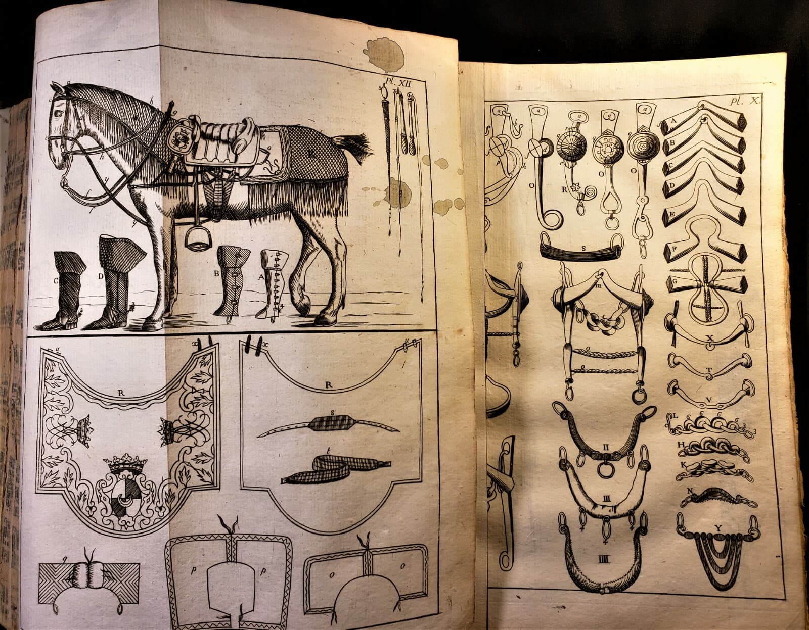 1771 THE NEW PERFECT MARSHAL BY GARSAULT - Horse Diseases, Cure and Equestrian 5