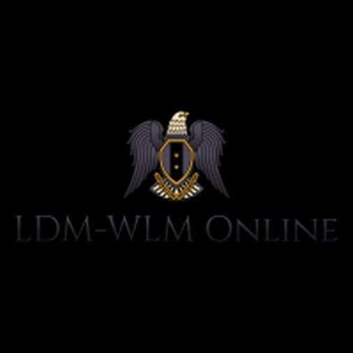 Set of 3 Kitchen Whip Whisk   10" 8.5" 7.5" 5