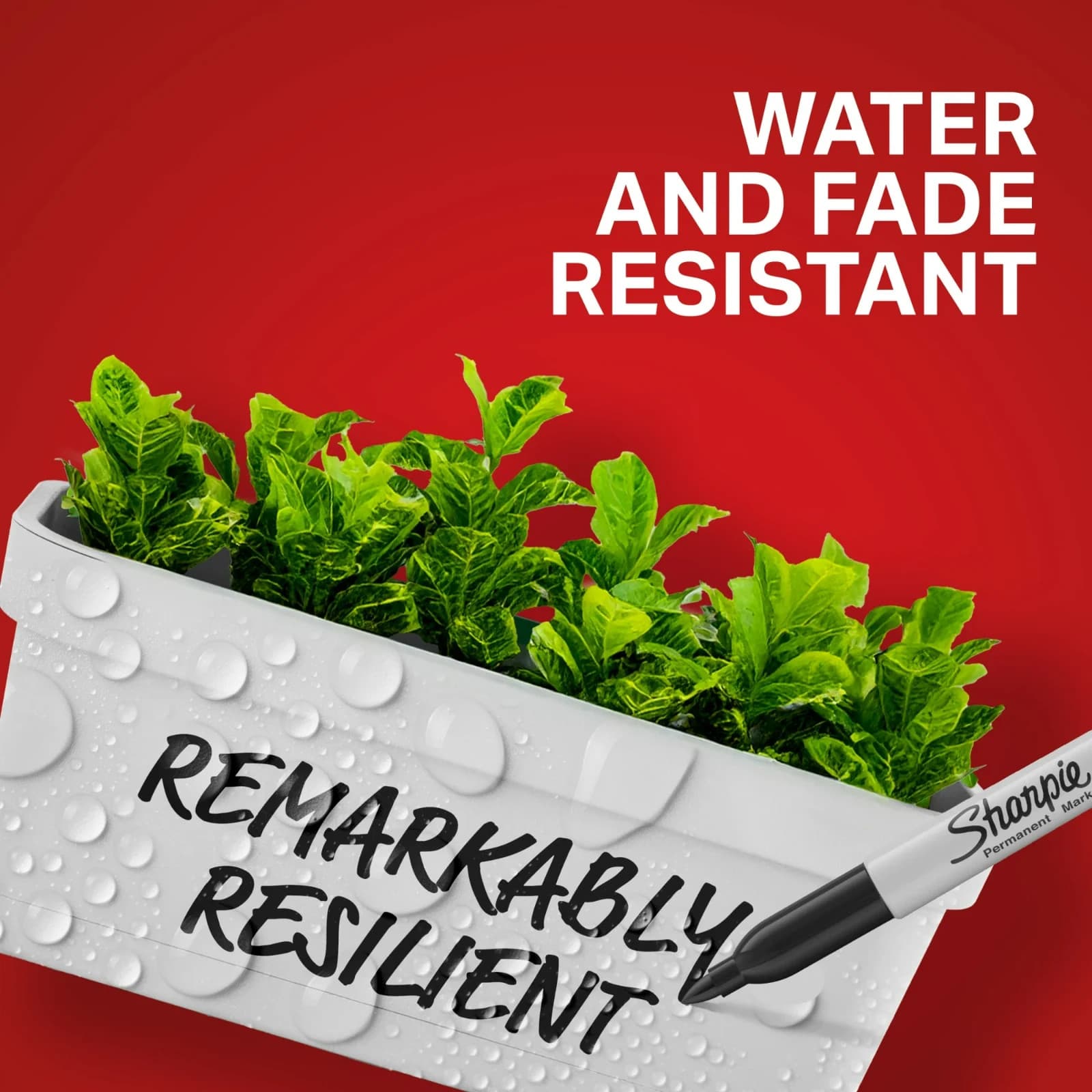 Sharpie Permanent Markers, Fine Point, Black, 2 Count 5