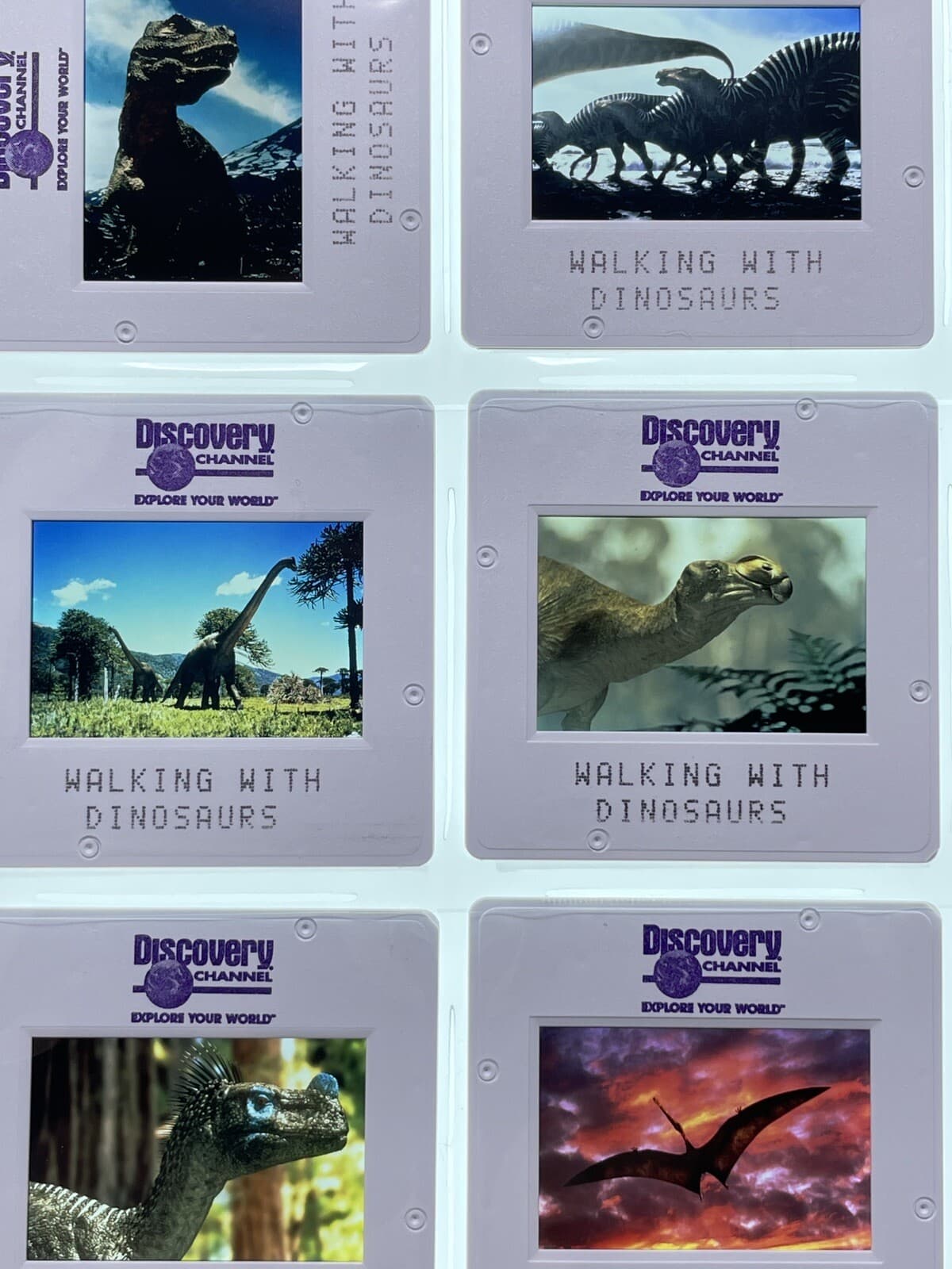 Walking with Dinosaurs 35mm Slides TV Mini Series Press Kit Promo Vtg Lot of 12 3