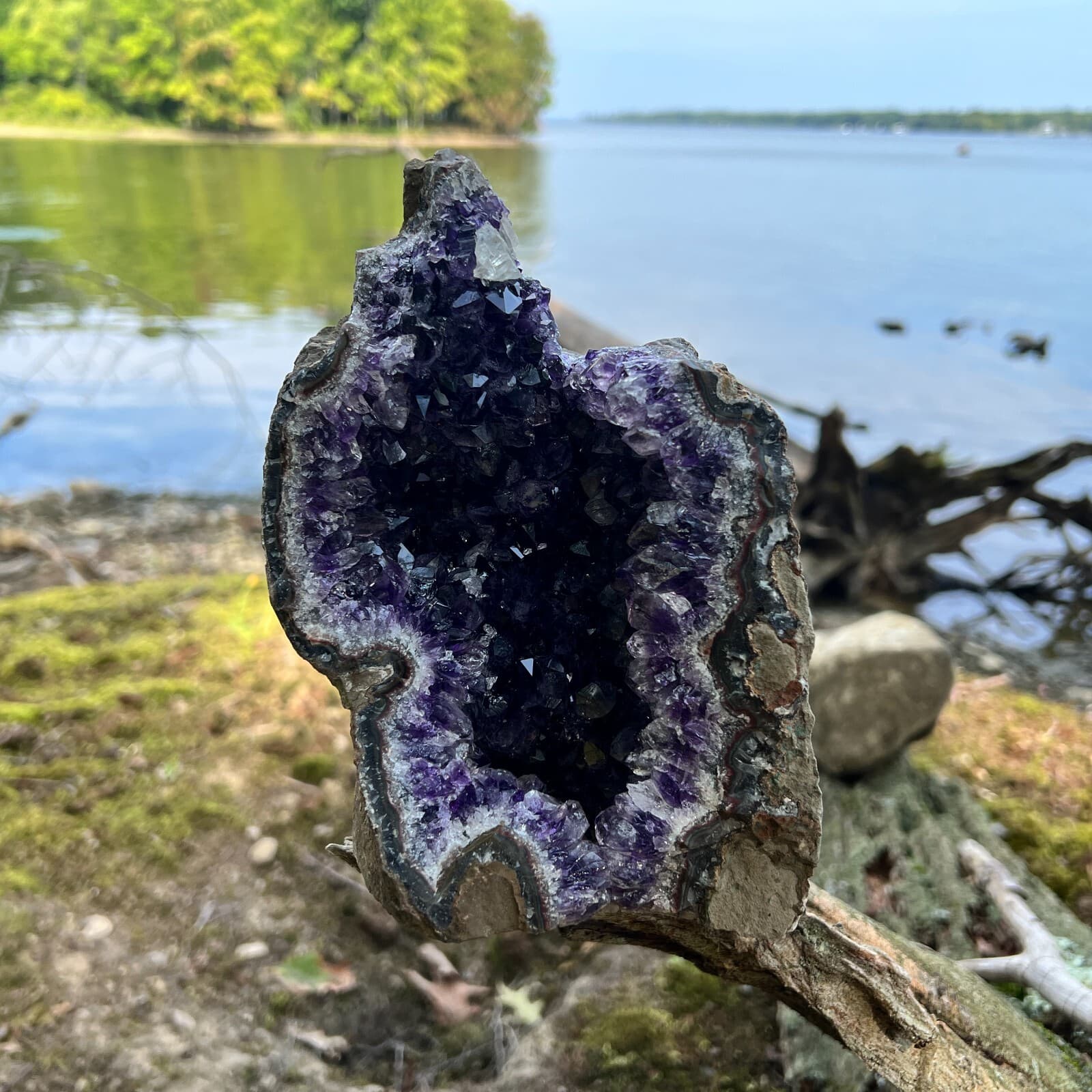 HUGE XXXL LARGE Amethyst Druze Crystal Cluster w/ Cut Base Specimen ~ 3.5-5.5 Lb 5