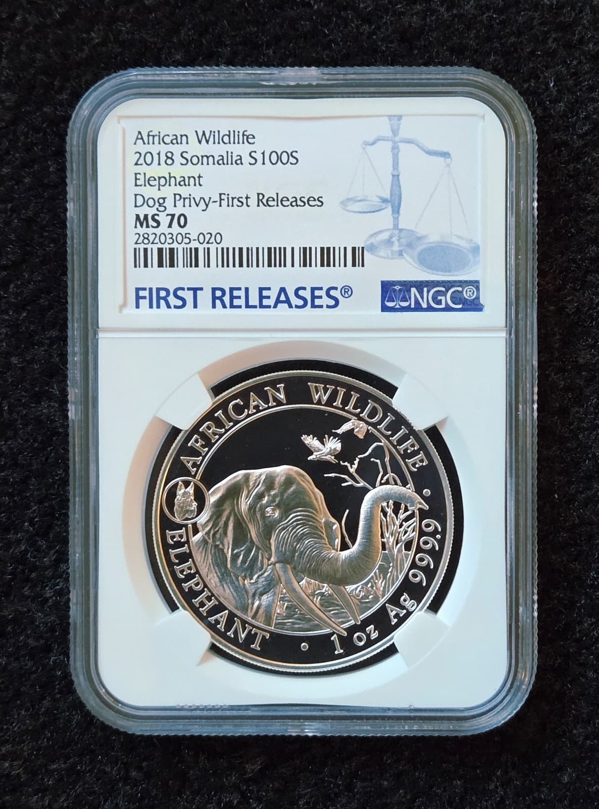 2018 Somalia 1oz Silver Elephant Dog Privy MS70 NGC - First Releases