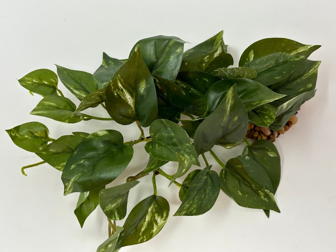 8" LONG, LOW Green/White POTHOS Bush, soft silk aquarium plant, stone base, Gold 3