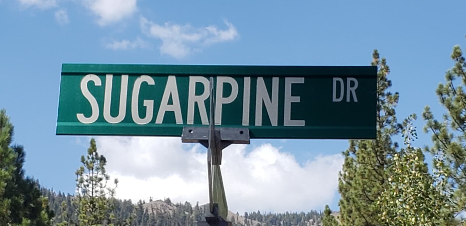 (2) Medium Sized - Sugarpine cones from Northern California Tahoe area FREE ship 6