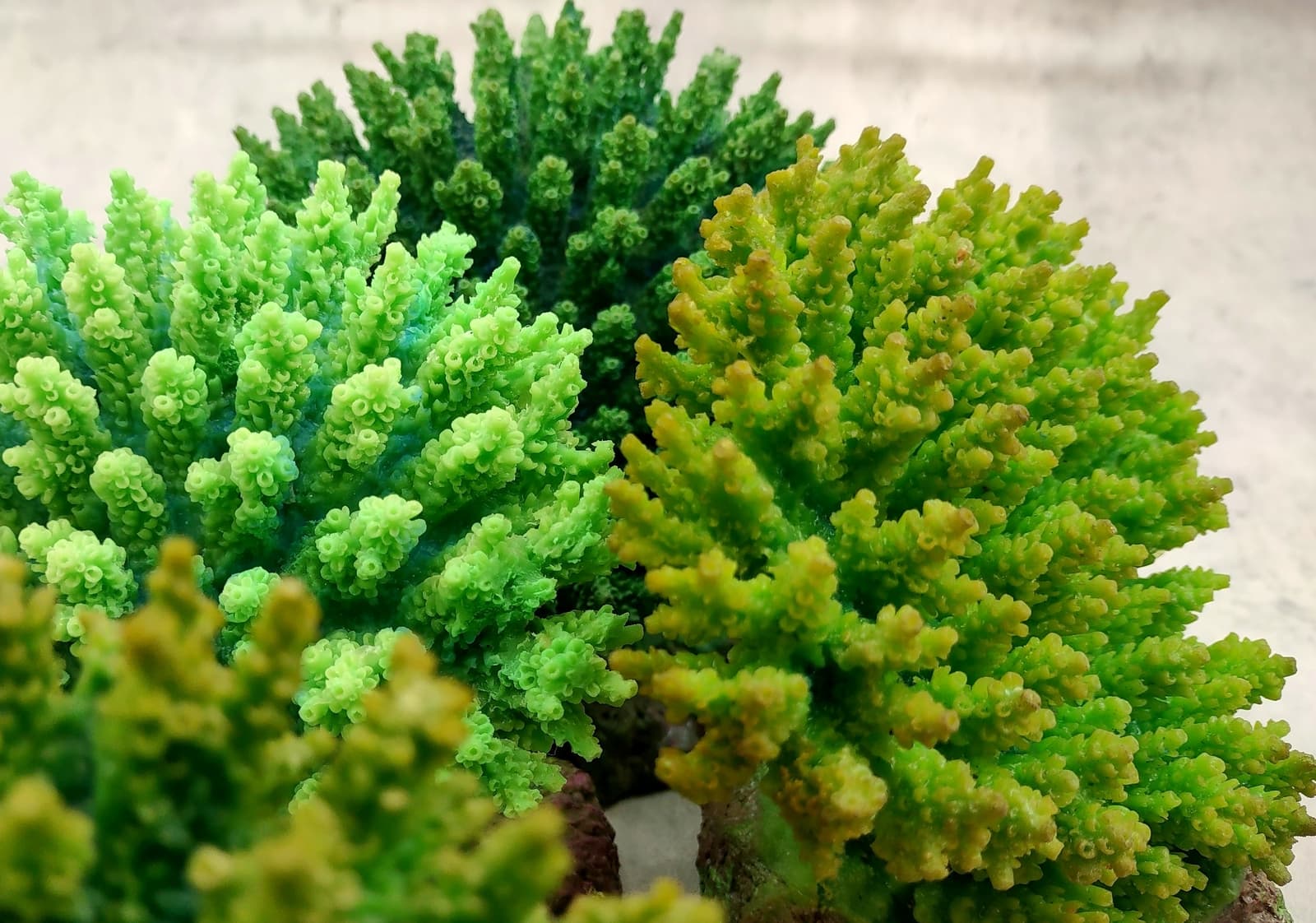 Green FAUX Table Coral (1 FAKE Coral, approx. 5Wx6Dx4T) 3