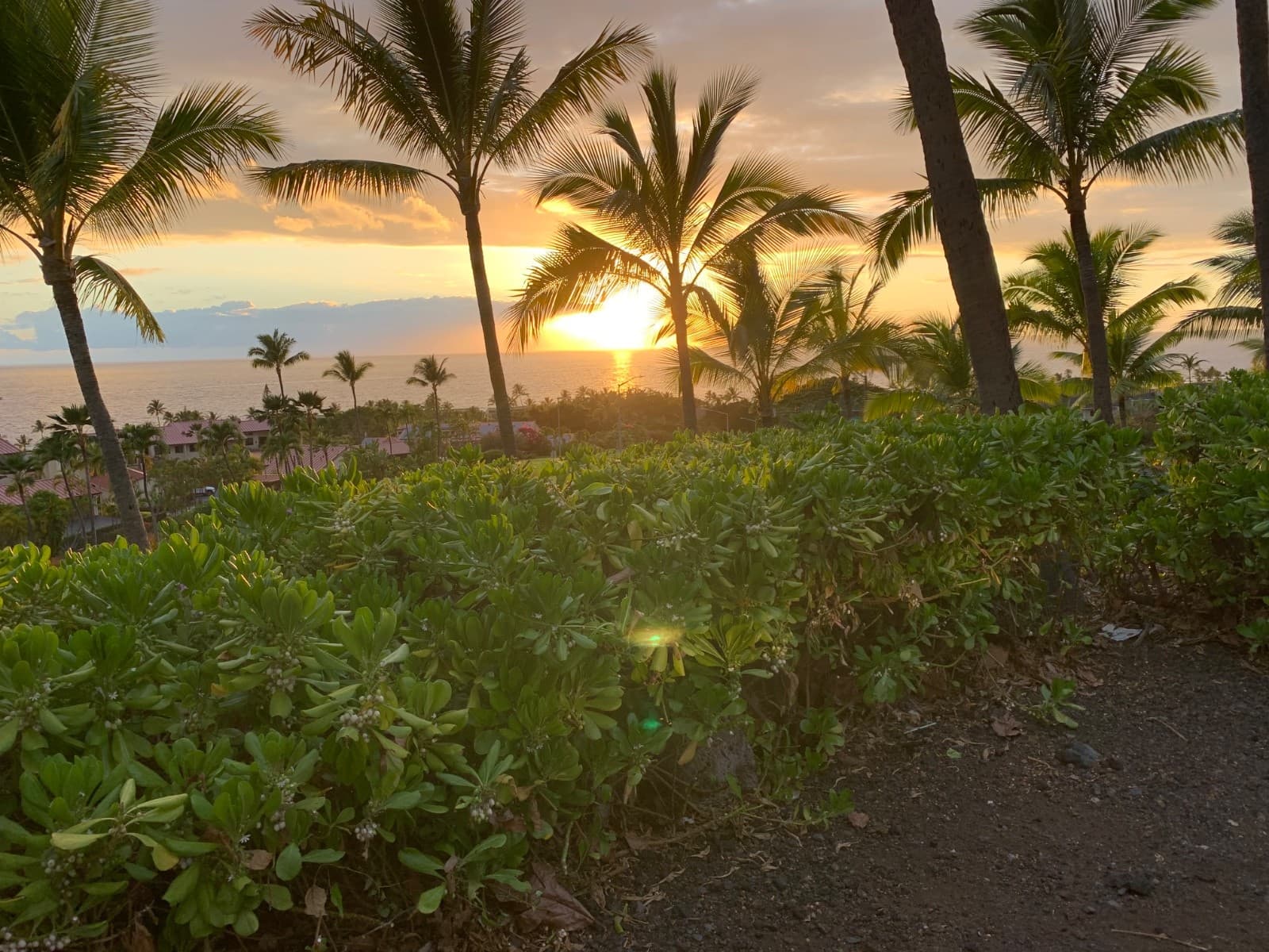 Maui Hawaii timeshare for sale 3