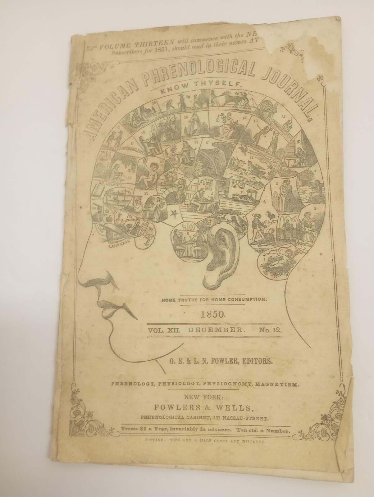 Antique Periodical American Phrenological Journal December 1850 Vol. 12 No. 12