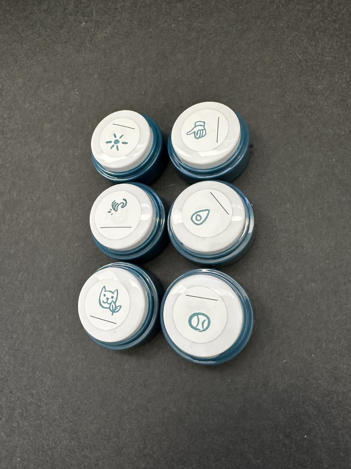 FluentPet Basic Buttons - Set of 6 - Open Box - Recordable - Used 5