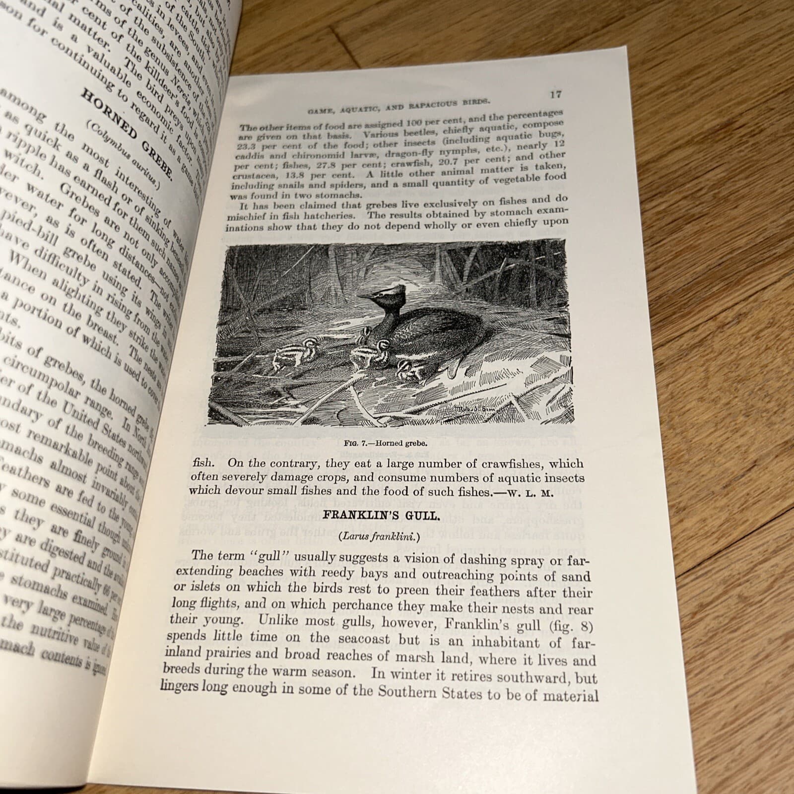 2 USDA Books COMMON USEFUL BIRDS / GAME AQUATIC & RAPACIOUS BIRDS 1926 / 1924 5