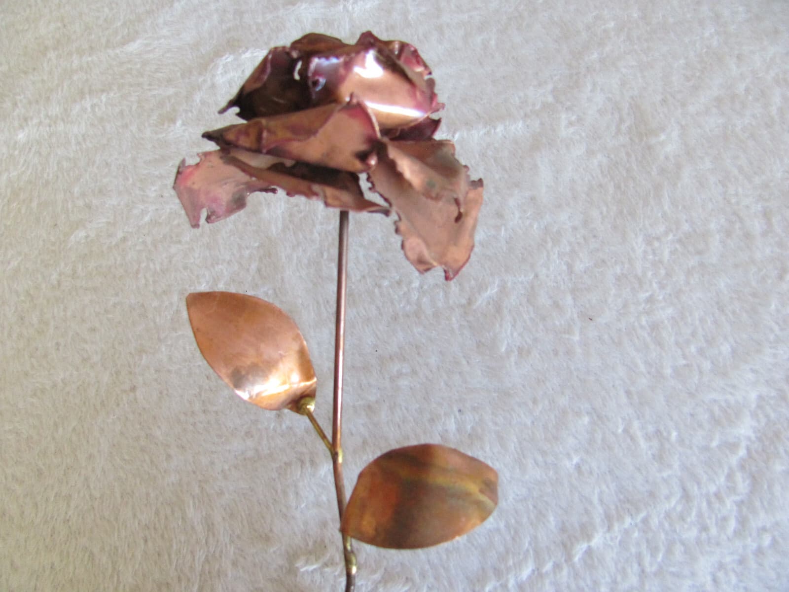 Long Stem Copper Rose(s) Up to 7 Available 4
