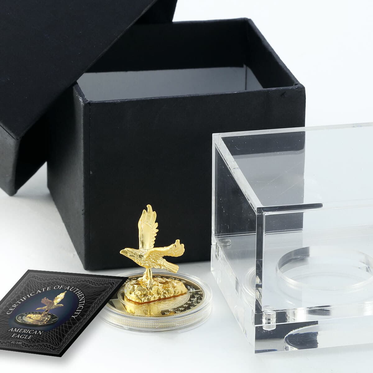 Somaliland 3D Sculpture Coin, American Eagle, 100 Shillings, Bird, 2019 5