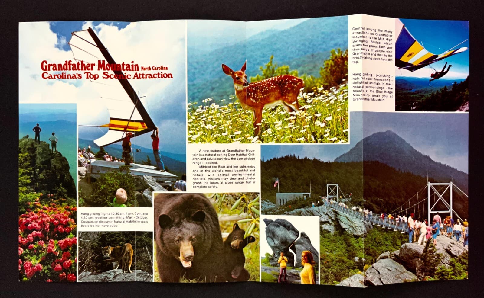 1970s Grandfather Mountain Blue Ridge North Carolina Vintage Travel Brochure 2