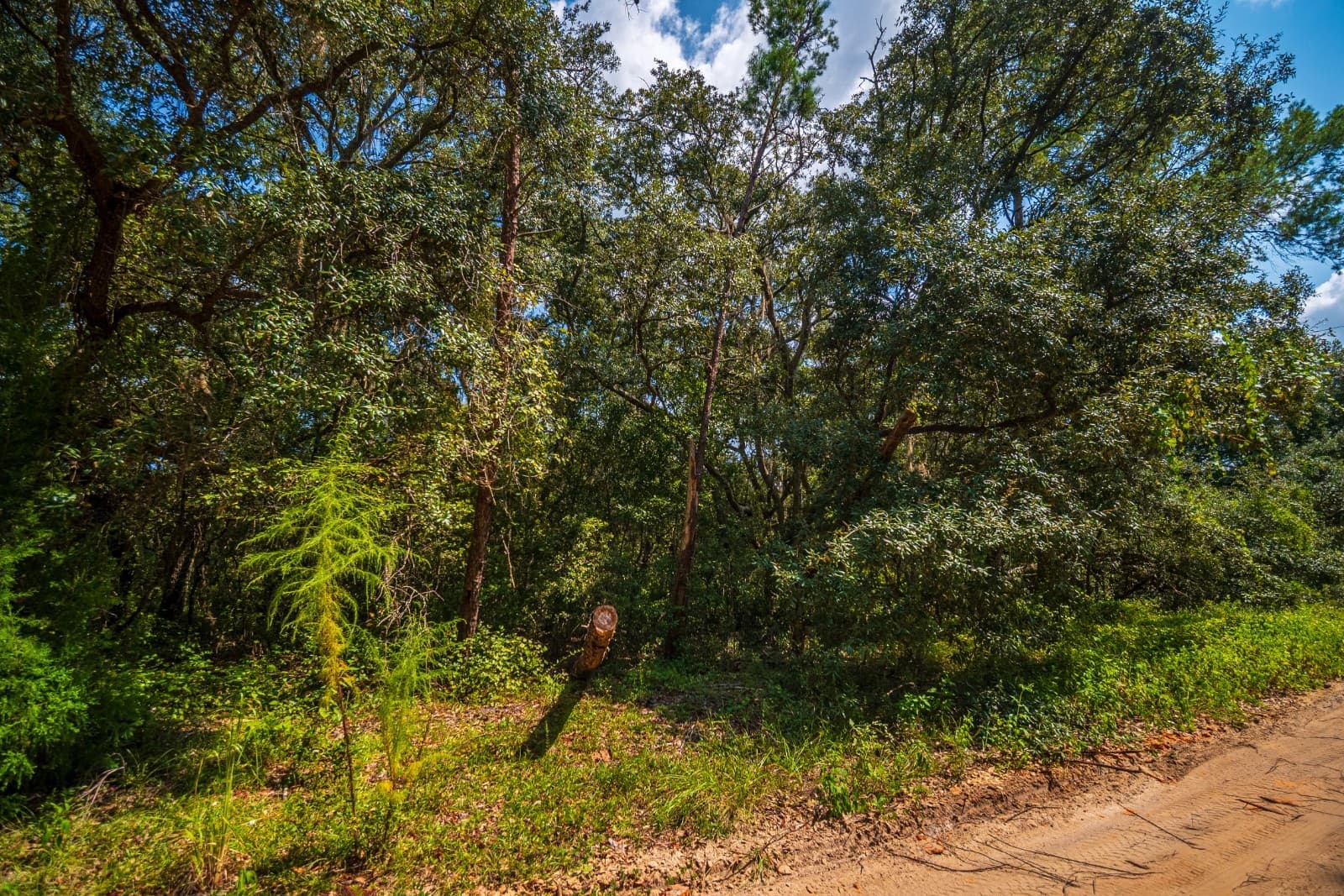 For Sale: Private Vacant Land .26 Acres Putnam County FL 5