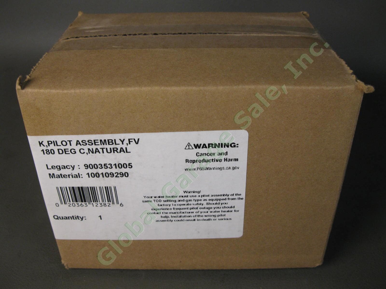 AO Smith 100109290 K FV Pilot Assembly 180 DEG C Natural Gas 9003531005 NG Kit 2