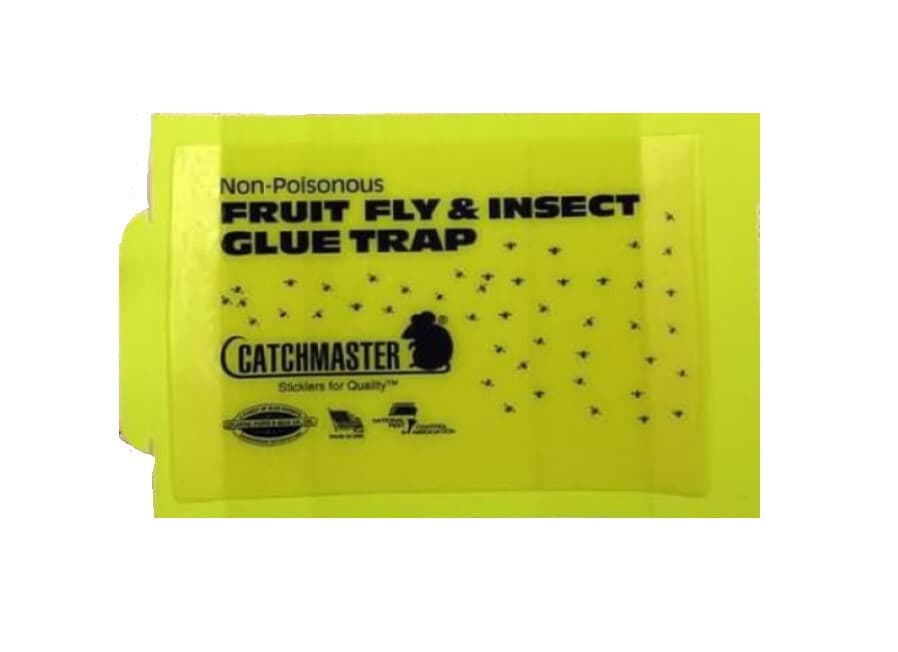 Catchmaster Fruit Fly Trap 100FF Glueboards ( 100 traps) Fruit Flies Drain Flies 4