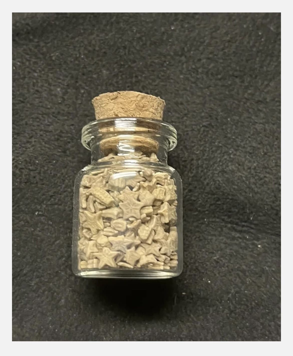 Utah Fossil Star Crinoid Pentacrinus Jurassic Age Echinoderm 2