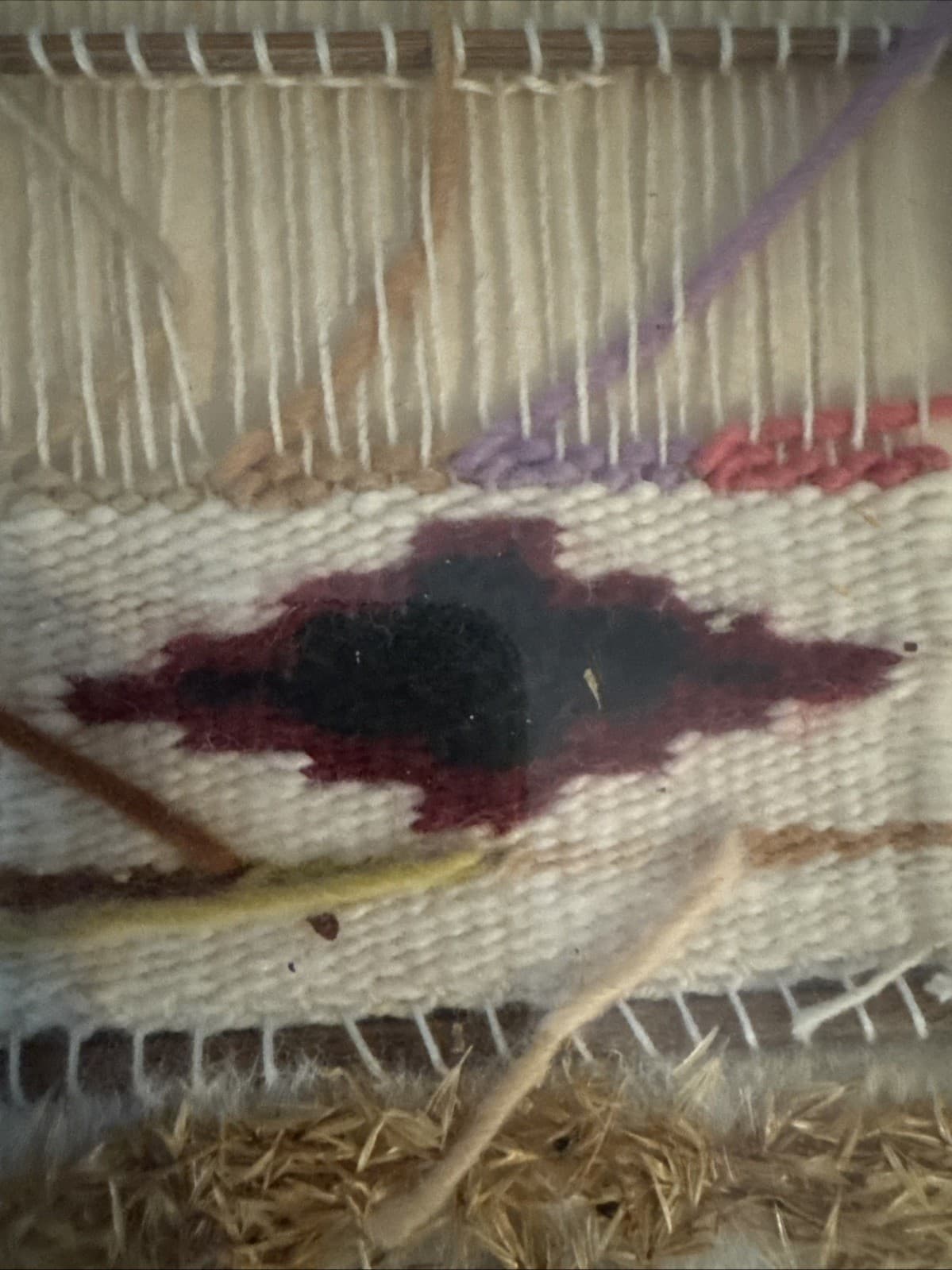 NAVAJO PLANT YARN DYE CHART 8 PLANTS LOOM RUG WEAVING NATIVE AMERICAN ART VTG 5