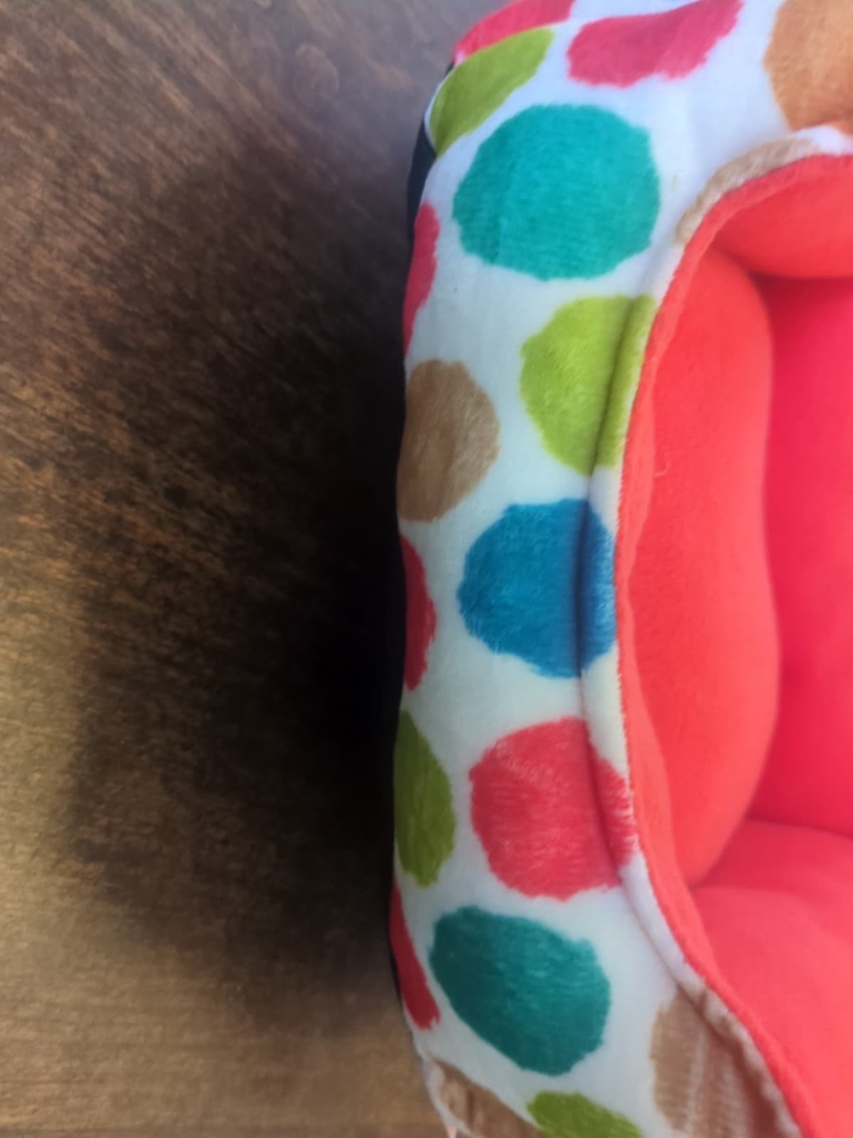 All Living Things Small Polka Dot Cuddler Bed For Ferrets & Guinea Pigs Fleece 5