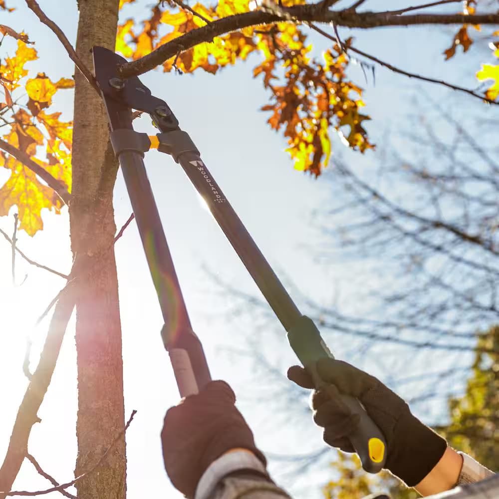 24.5 In. Heavy-Duty 28 In. Leveraction Lopper 4