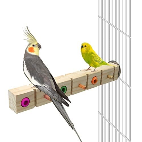 Parrot Bird Wood Perch Platform Corner Stand Shelf for Birds Budgie Parakeet  5