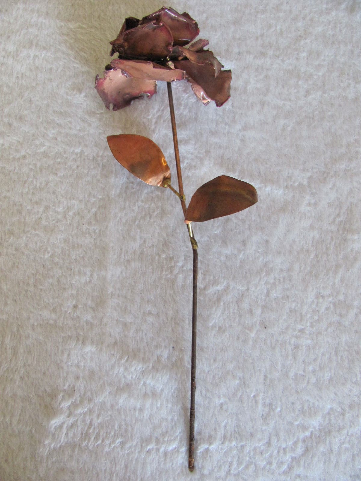 Long Stem Copper Rose(s) Up to 7 Available