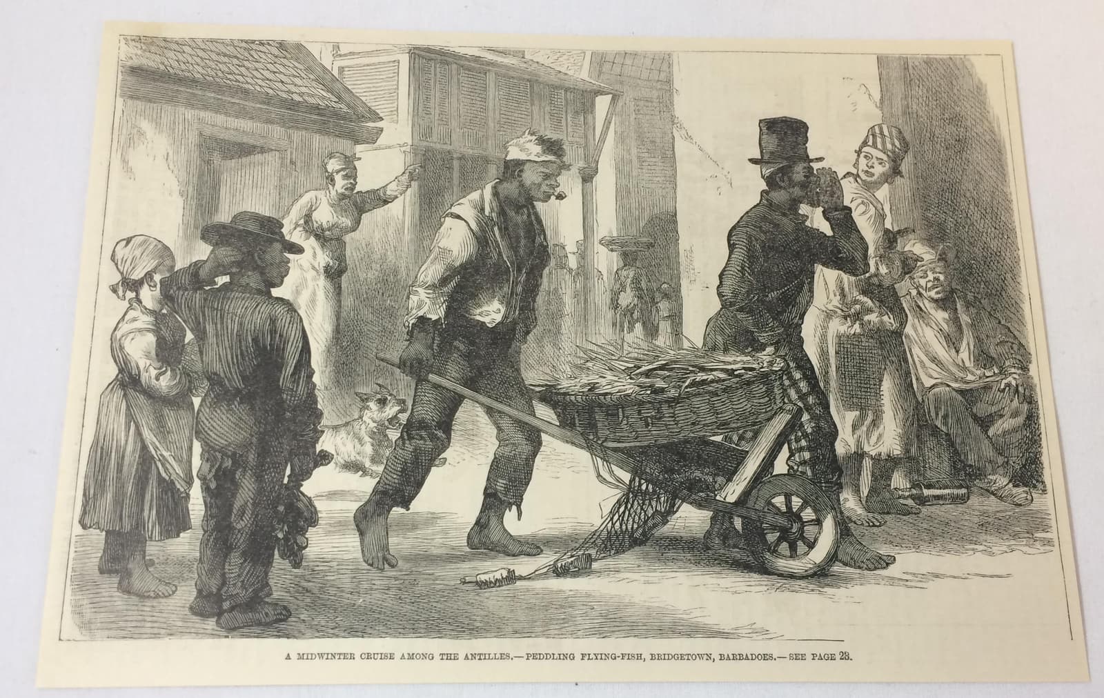 1885 magazine engraving ~ AFRICAN AMERICANS PEDDLING FLYING FISH