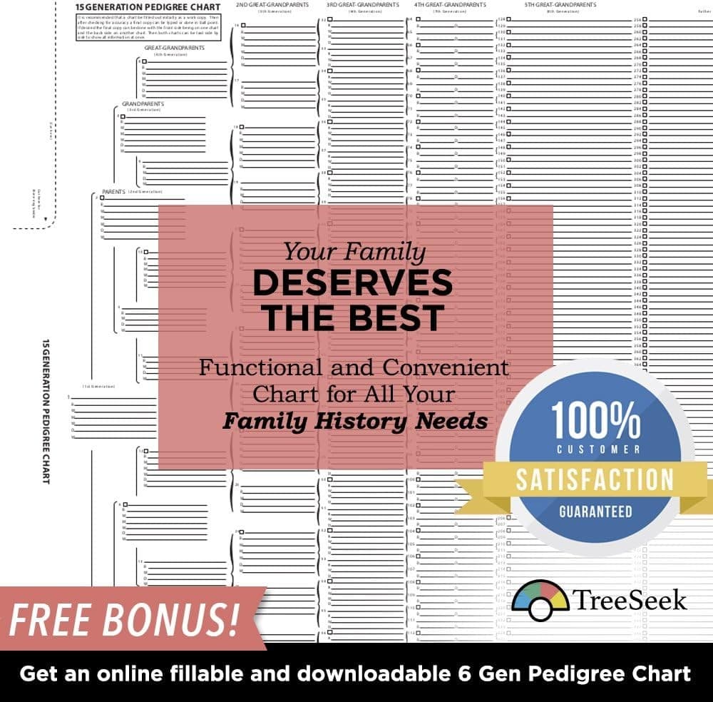 Treeseek 15 Generation Pedigree Chart | 5 Pack | Blank Genealogy Forms For