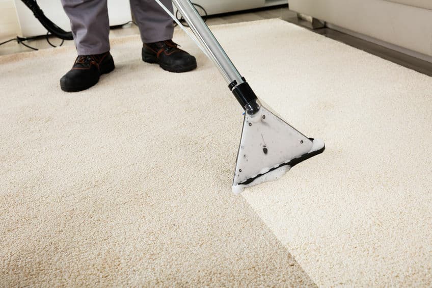 SR10 Carpet Shampooer 3