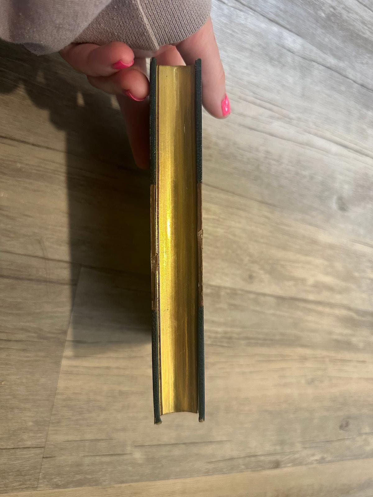 Gulliver’s Travels by Jonathan Swift – 1894 Charles E. Brock Illustrated Edition 4