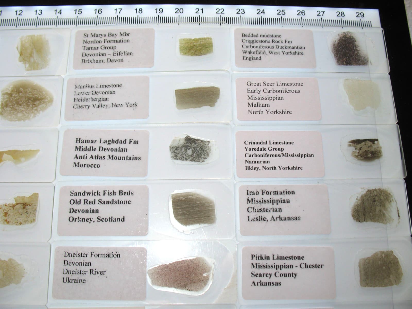 Geological Rock Formation 50 Thin Section Slides Precambrian to Miocene fossils 6