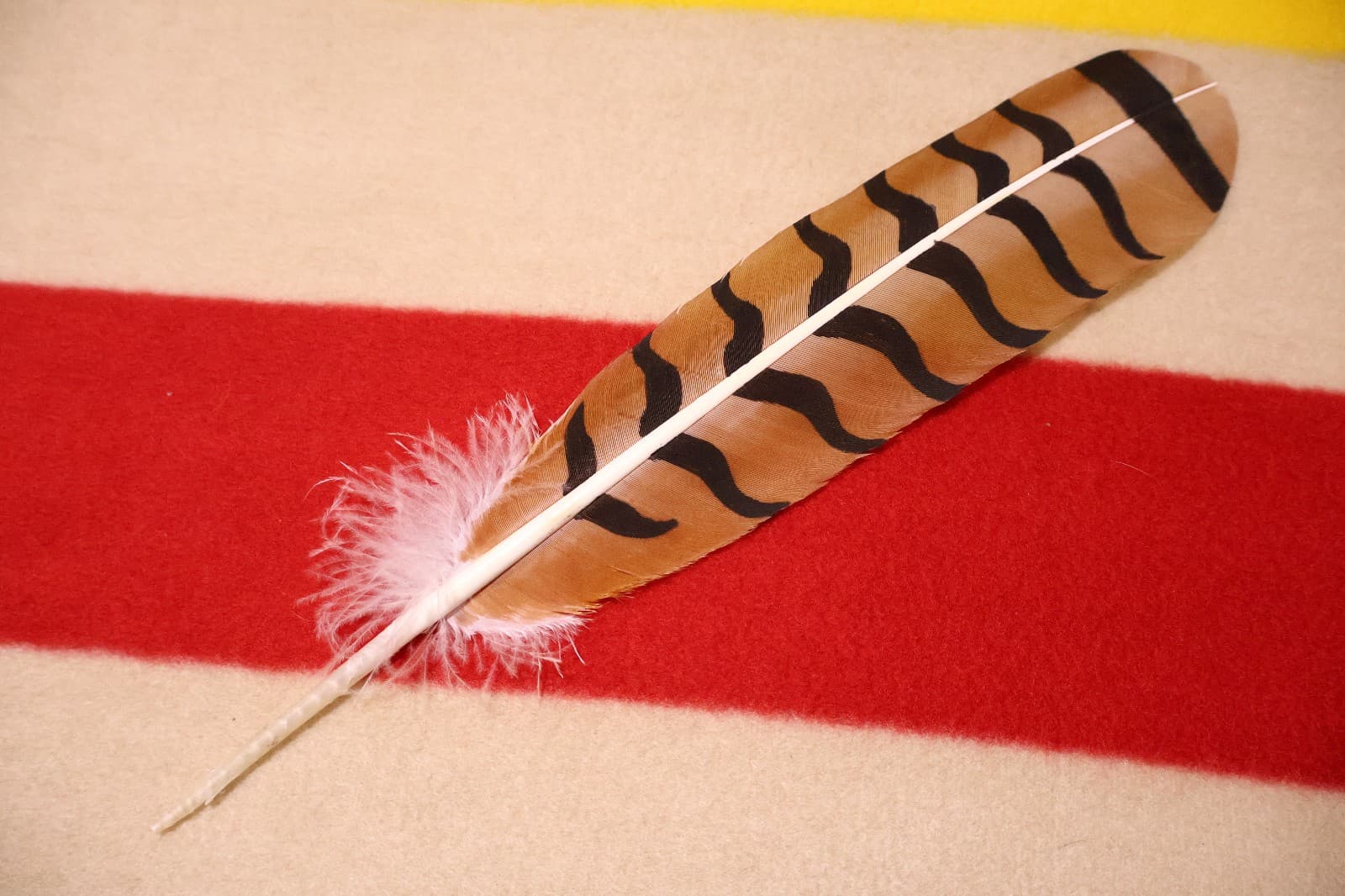 Native American hand painted Red-Tailed Hawk Feather 5