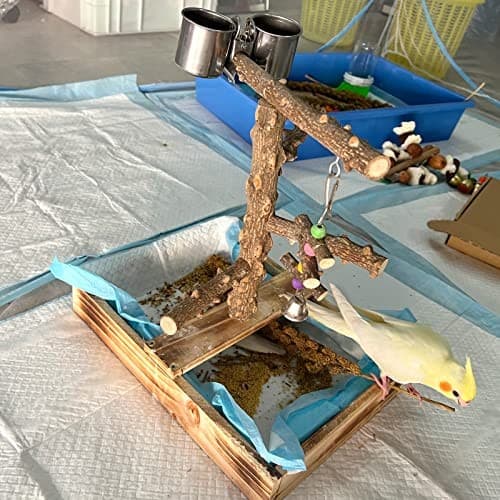 Natural Wood Bird Toys Playground, Bird Cage Accessories, Bird Perches, with  4