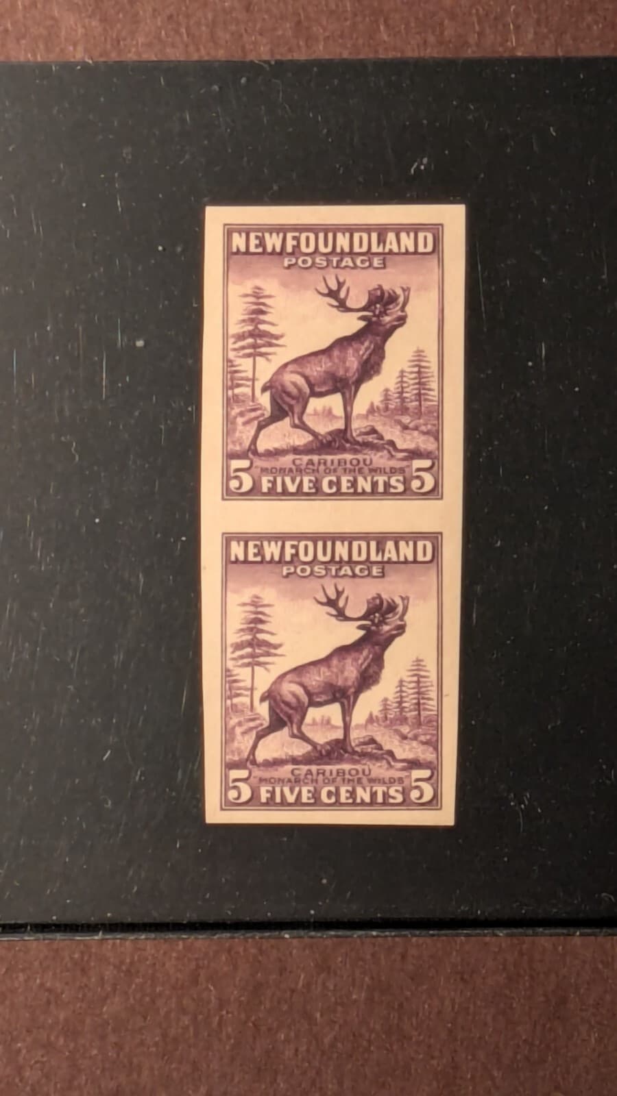 newfoundland stamp #191b vertical pair proof in extra fiine condition