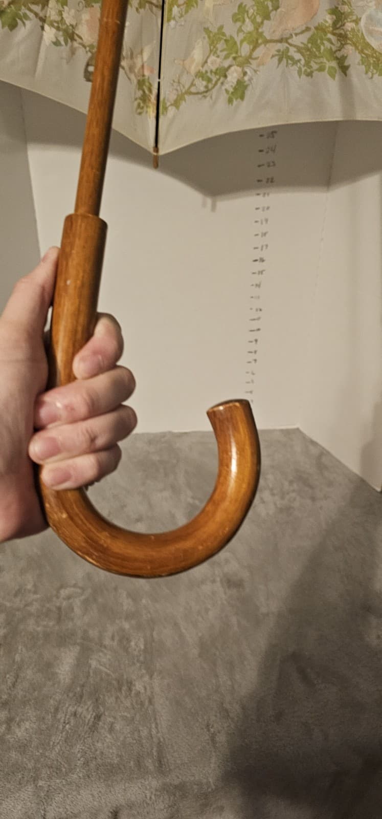 Rare 1988 Nylon The Nature Company Bird Umbrella Vintage Works Wooden Handle 4