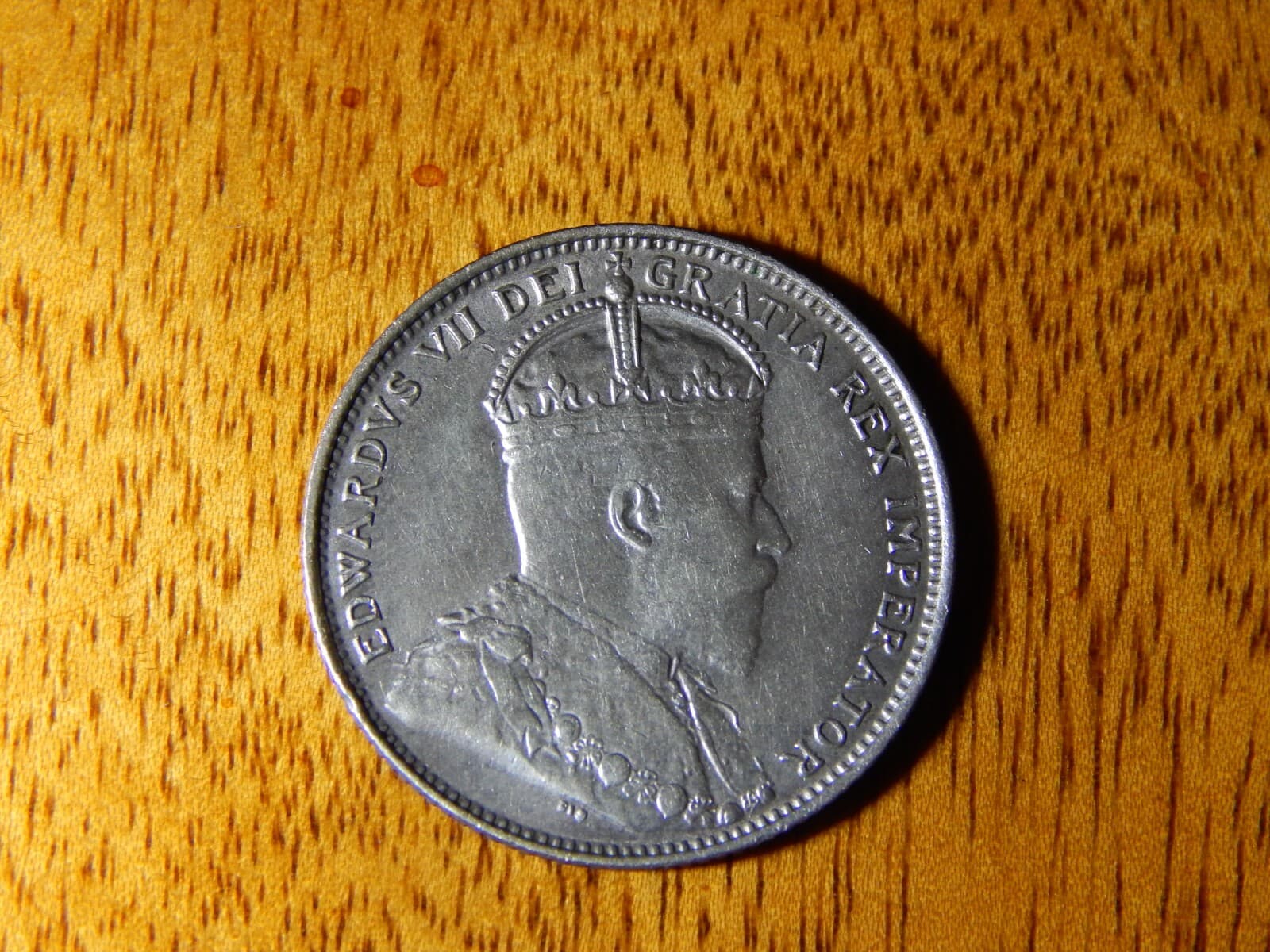 1904 newfoundland 20 cents (Die Lamination Error on Coin) 5