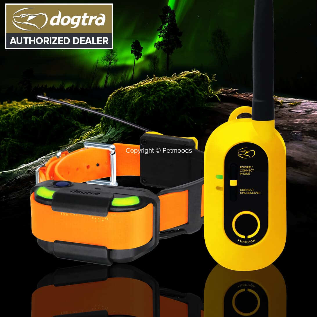 Dogtra PATHFINDER2 GPS Dog Tracking & Training System, E-Fence, LED Beacon Light 2