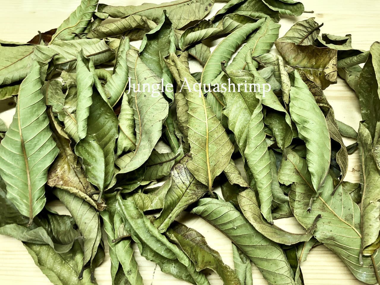 Dry Guava Leaves Anti Bacteria Discus Betta Crystal Red Cherry Shrimp Aquarium