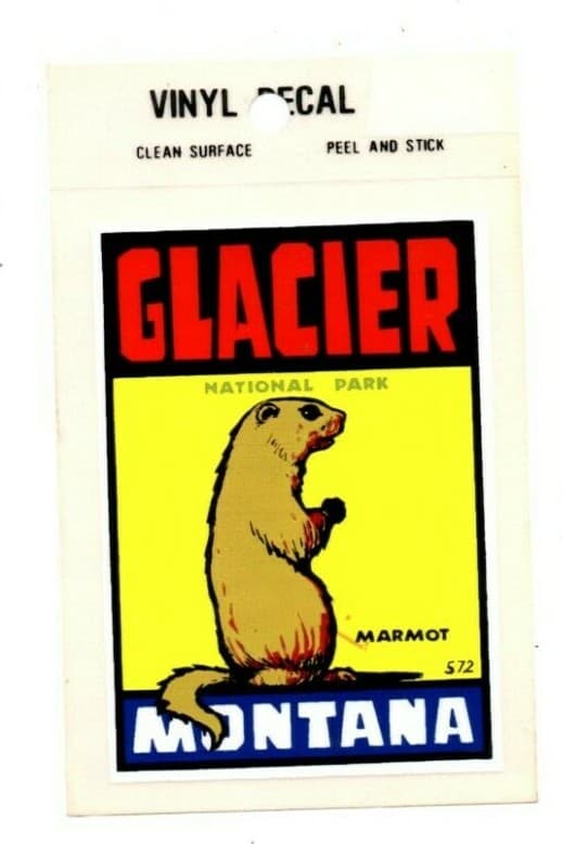 Glacier National Park Montana Marmot Decal Sticker - NOS - Free Shipping!
