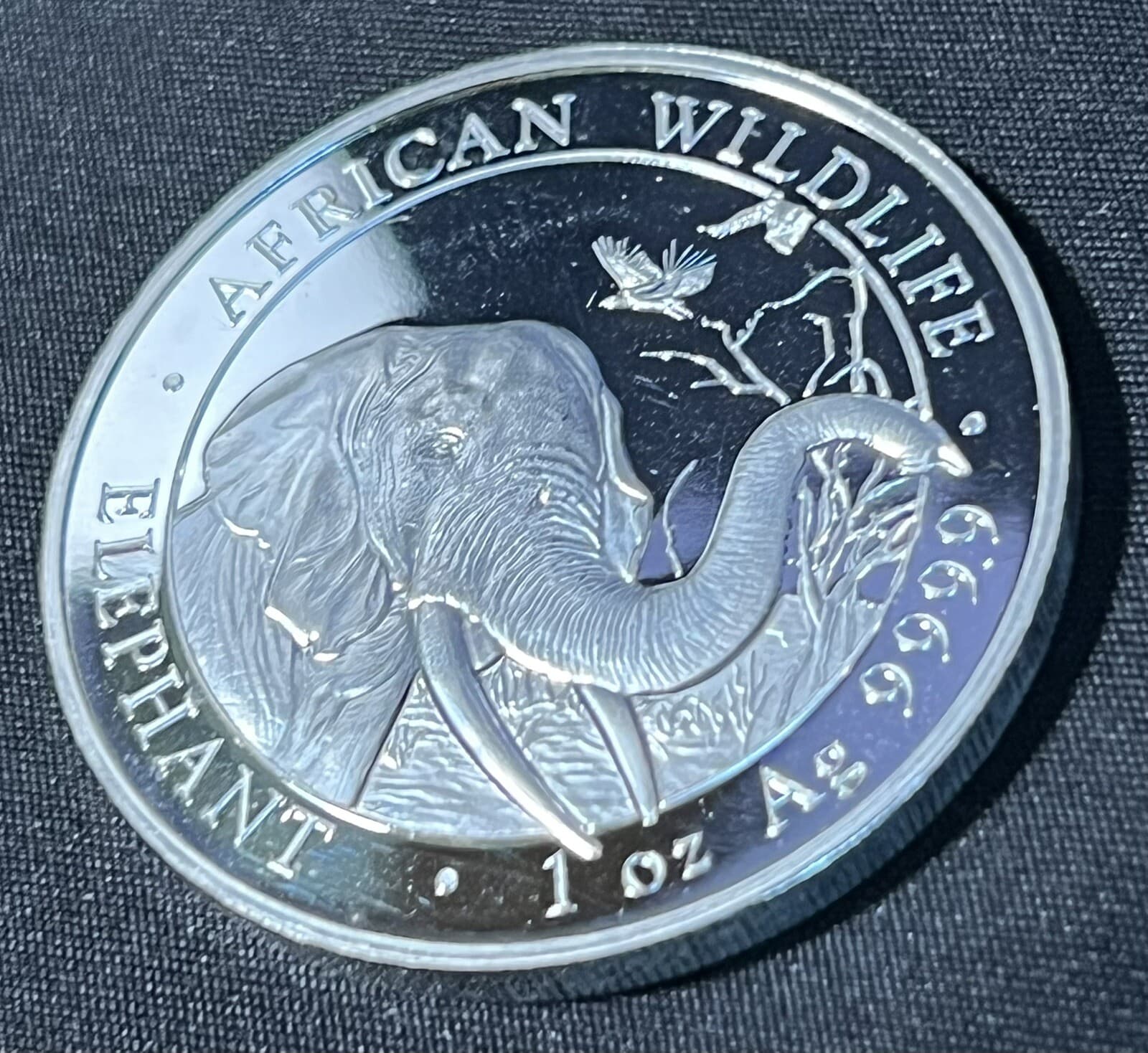 2018 1oz .9999 SILVER SOMALI REPUBLIC African Wildlife Elephant 100 Shillings 3