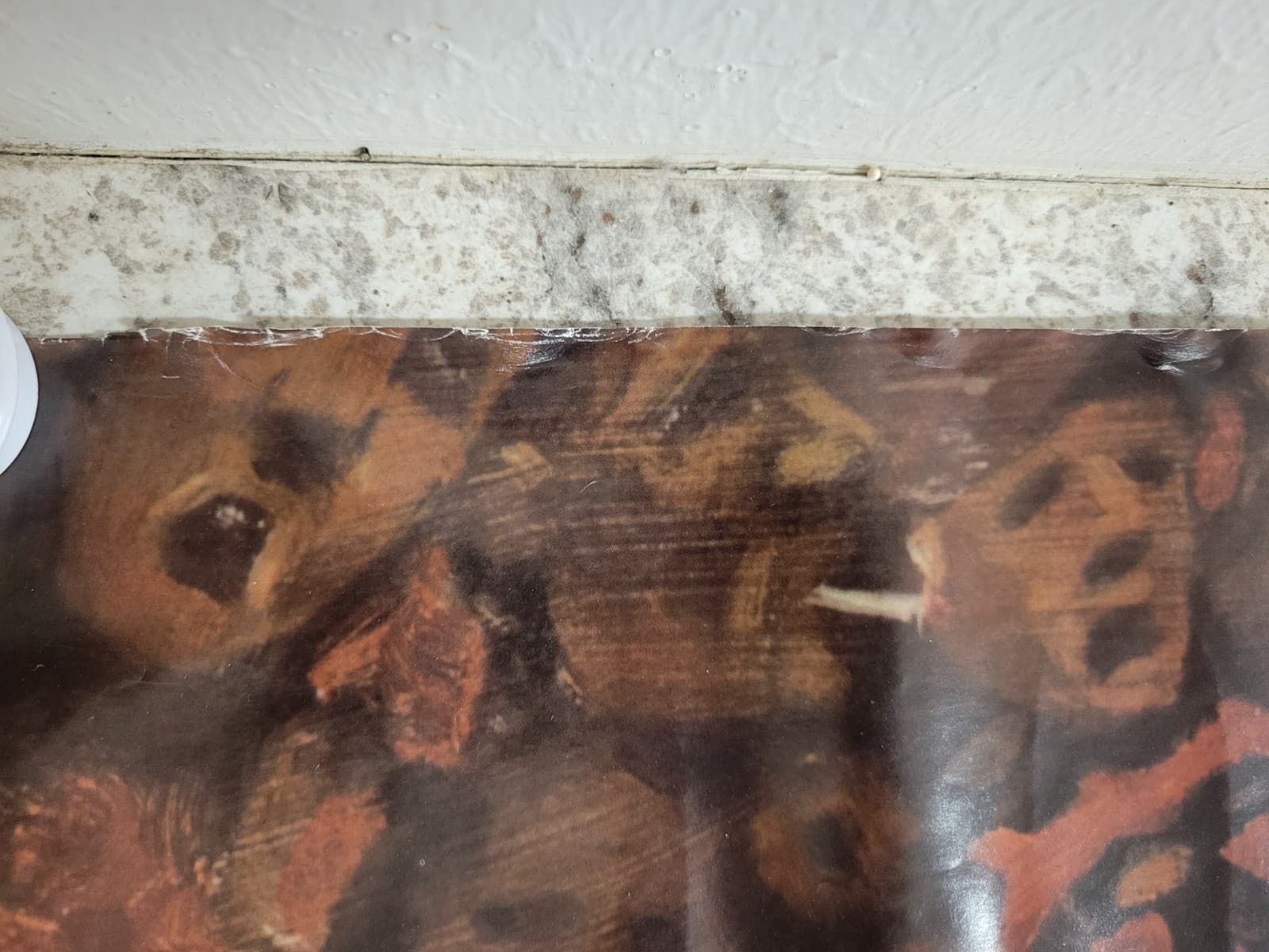 POSTER:DRAWING:  KORN-IN THE CROWD Funky #6207 RARE 2000 FAST SAME DAY SHIPPING 5