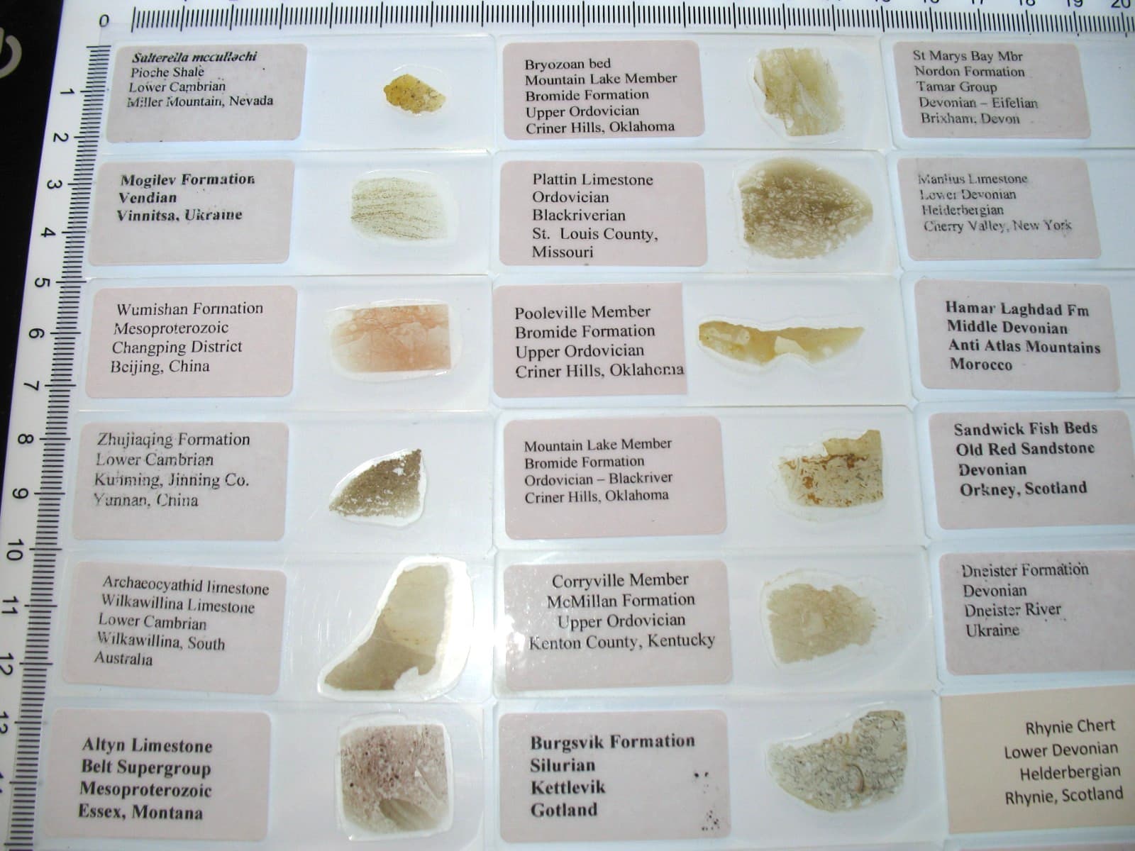 Geological Rock Formation 50 Thin Section Slides Precambrian to Miocene fossils 4