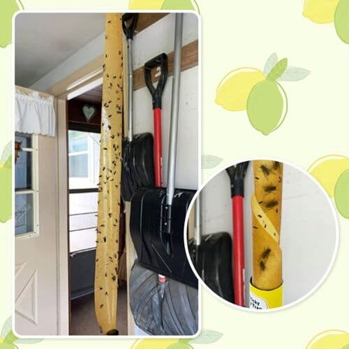 16 Rolls Fly Sticky Trap Paper Insect Bug Catcher Strip Fly Sticker Non Toxic US 2