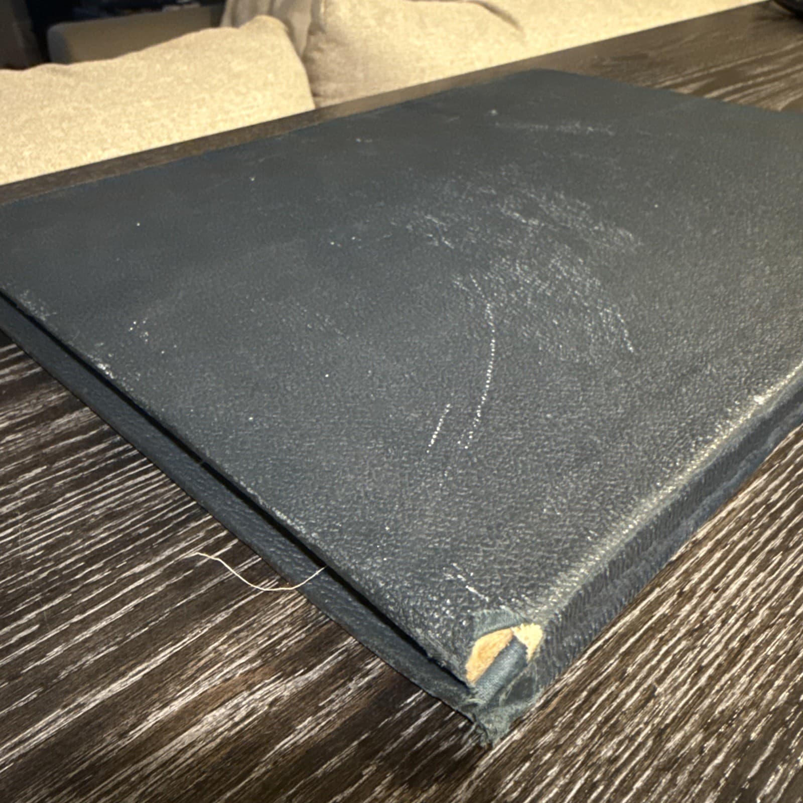 Embalmer's Anatomical Aid, late 19th century 5