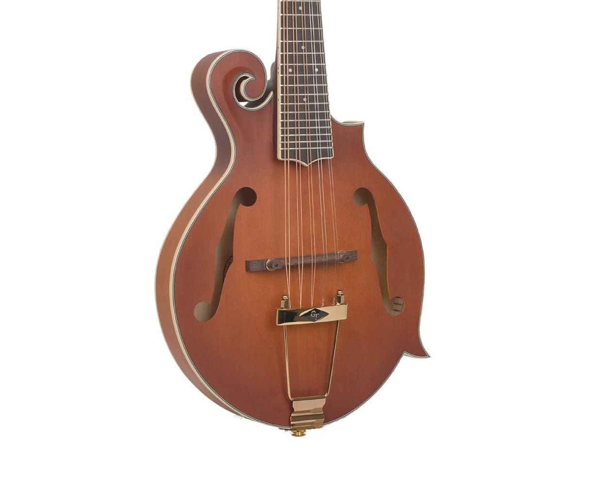 Gold Tone Mastertone F10 10-String F-Style Mandolin - Open Box