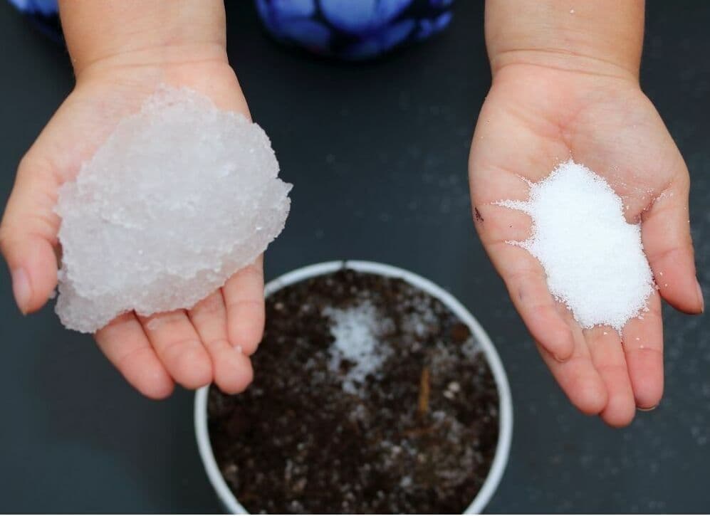 Water Absorbing Polymer Crystals  - Soil Moisture 4