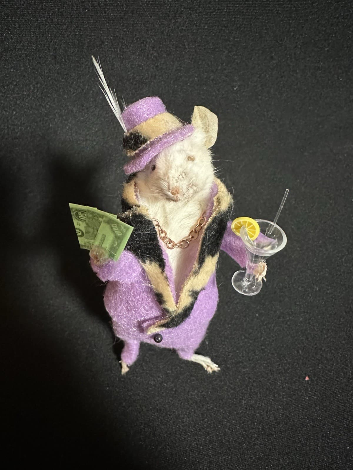 Taxidermy Mouse Pimp Mouse Oddities Curiosities Taxidermy Art 2