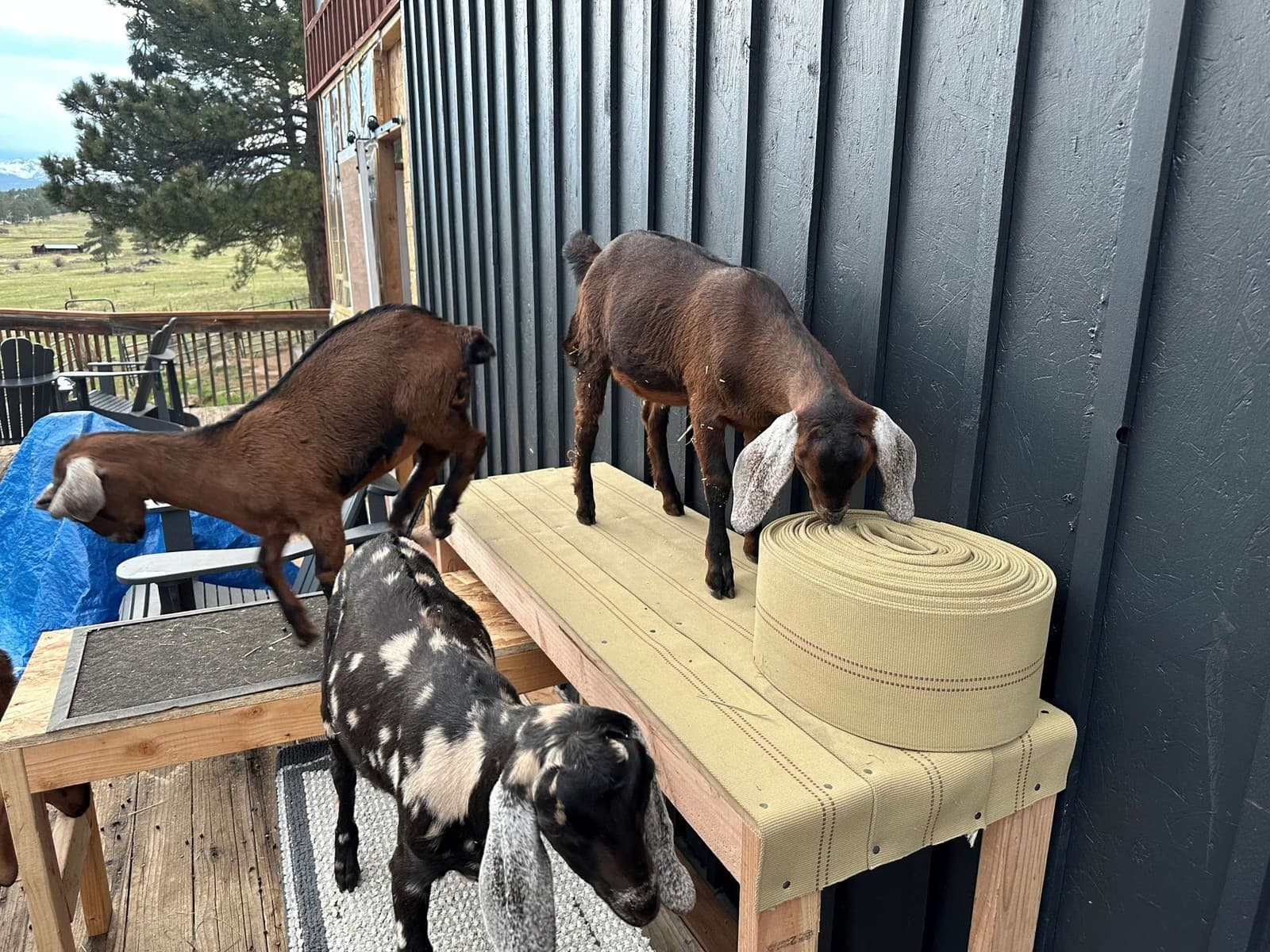 Fire Hose - 4" x 25' - No Couplings 6